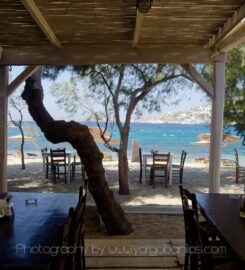 Nikolas Tavern Mykonos – Seafood Restaurant