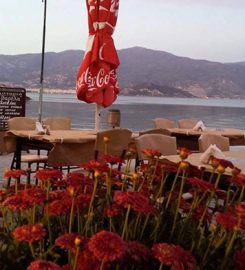 Η ΒΑΡΕΛΑ (ΑΛΥΚΕΣ ΒΟΛΟΥ)