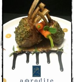 APHRODITE GARDEN RESTAURANT